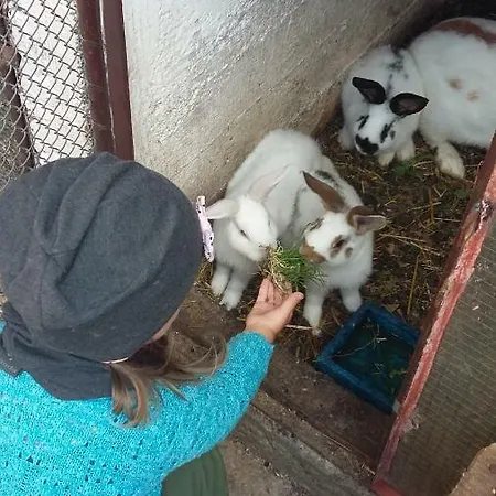 Vysoké Tatry - Apartmán Svit